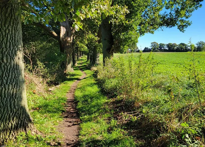 Strandblick 아파트 *