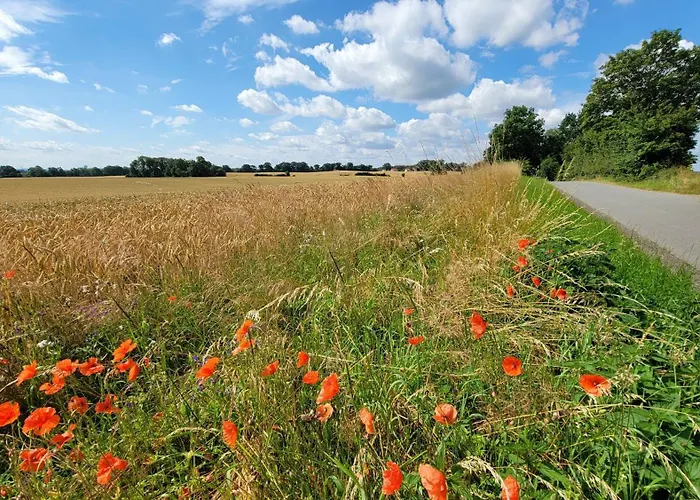 Strandblick 아파트